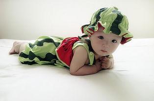 吃瓜小萌主,揭秘娱乐圈幕后故事