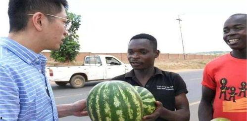 吃瓜祖宗被暴打,一场网络暴力引发的血案