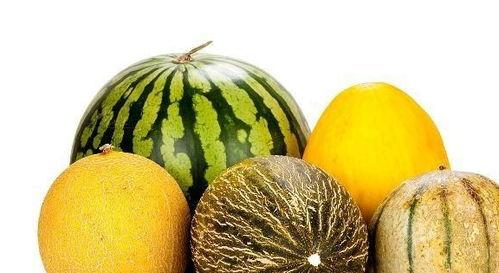 吃瓜总集,盘点娱乐圈那些年我们追过的热点事件