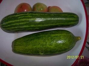 抚州哪里可以吃瓜,探寻当地特色美食之旅