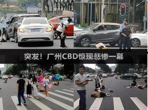 广州撞人吃瓜,吃瓜群众围观下的真相探寻