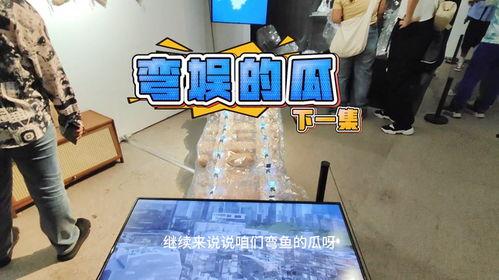 内娱吃瓜录入,揭秘娱乐圈幕后故事